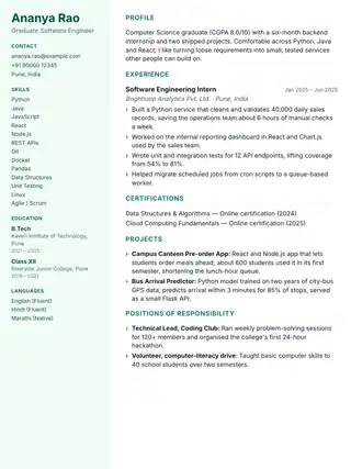 Vector résumé template